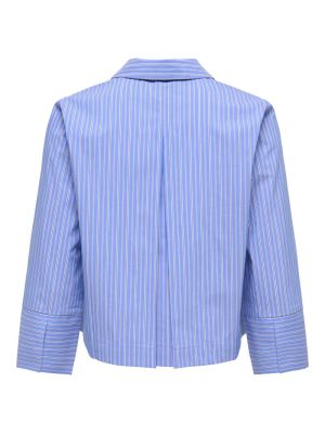 15376999 cornflower blue